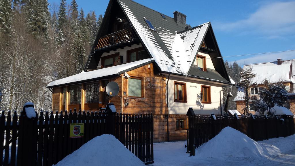 Homestay Srebrny Potok Закопане Екстериор снимка