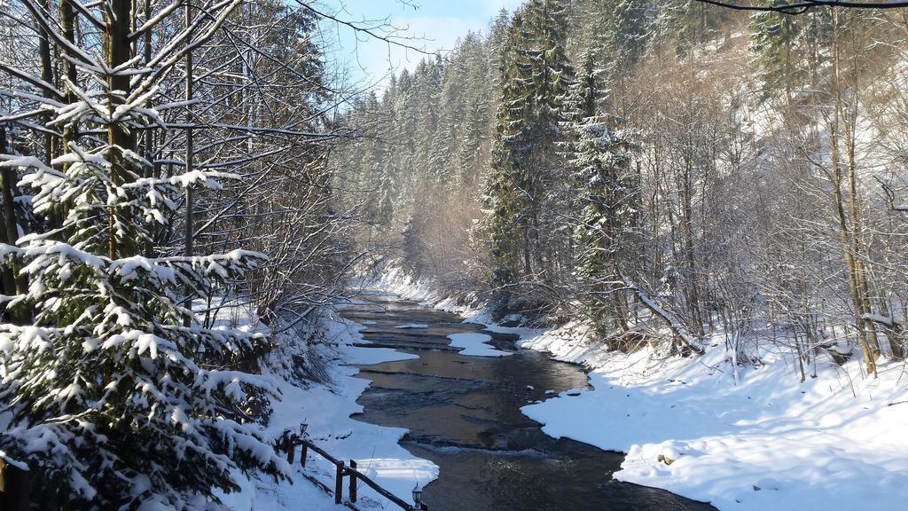 Homestay Srebrny Potok Закопане Екстериор снимка